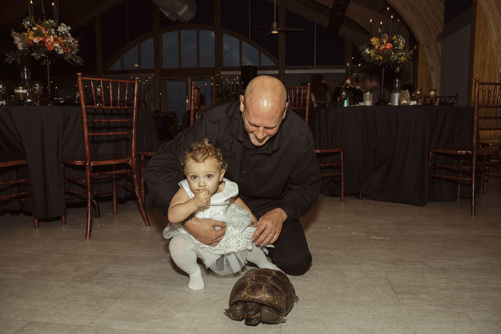 A candid moment between a child and a turtle during a wedding reception, captured organically as it happened