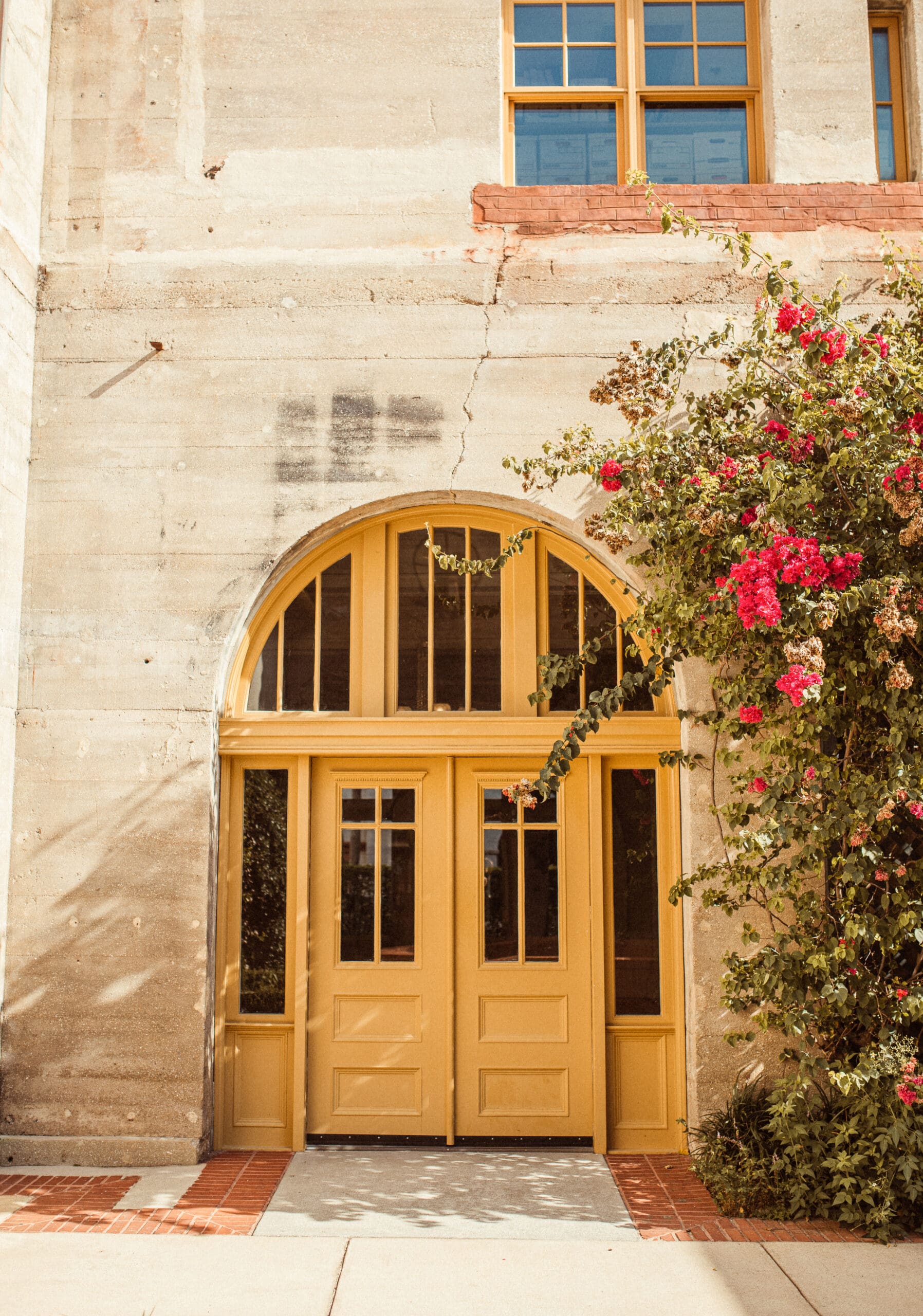 Historic St. Augustine building with arched wooden doors and blooming bougainvillea vines along the stone walls. 