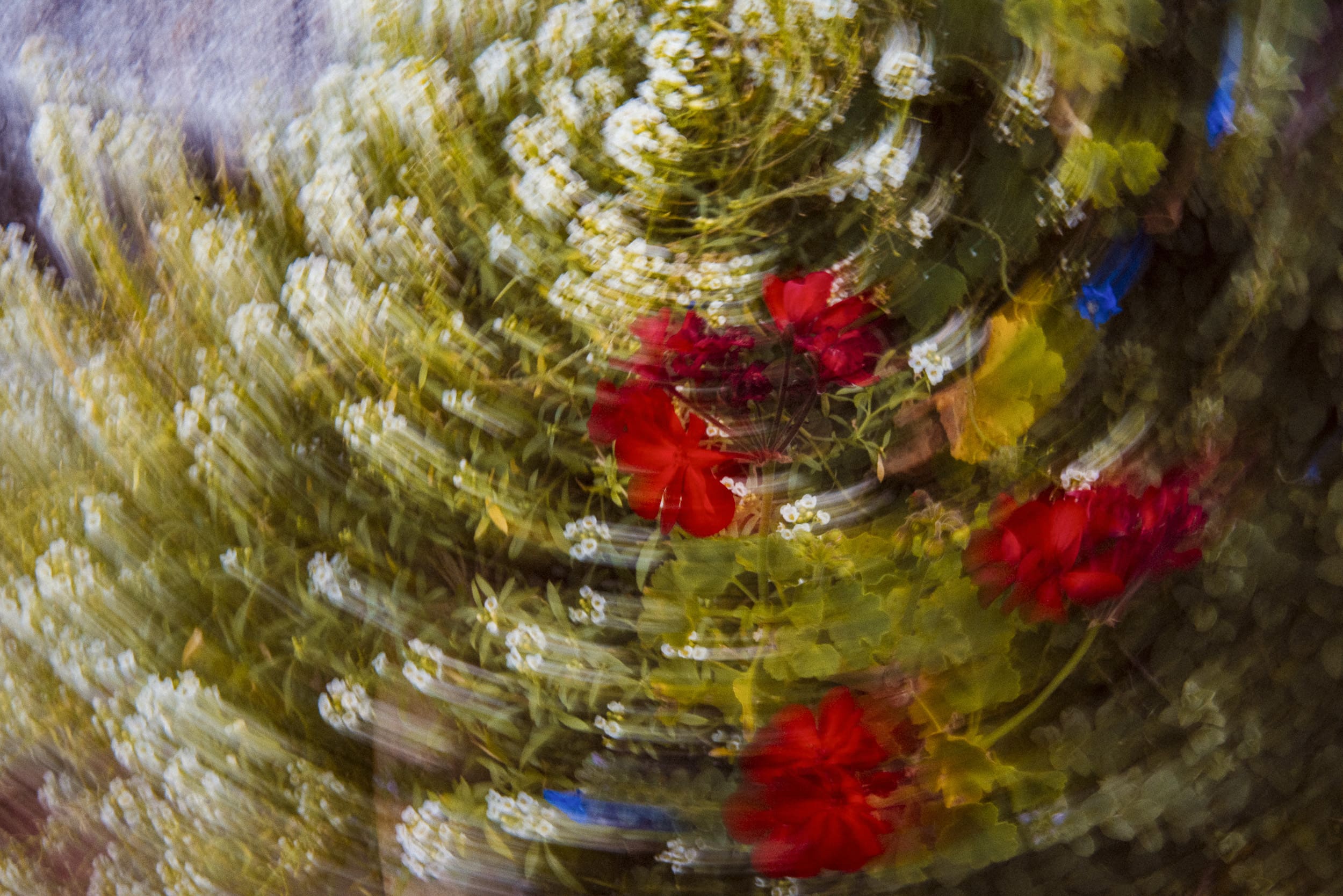Creative floral photo painting using intentional camera movement, blending bold color and motion to create an expressive fine art photograph.