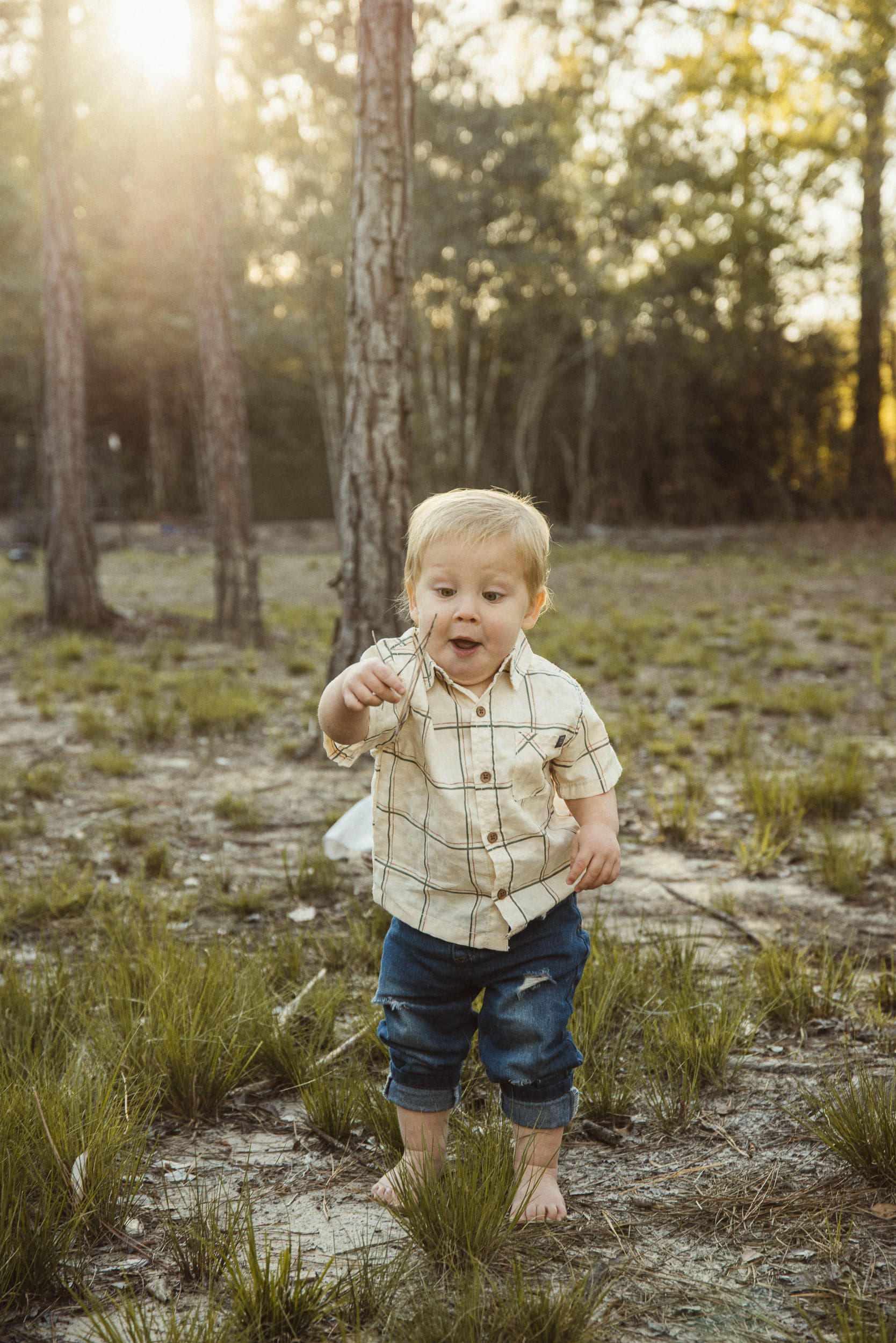 child holding a large stick during a playful backyard family session