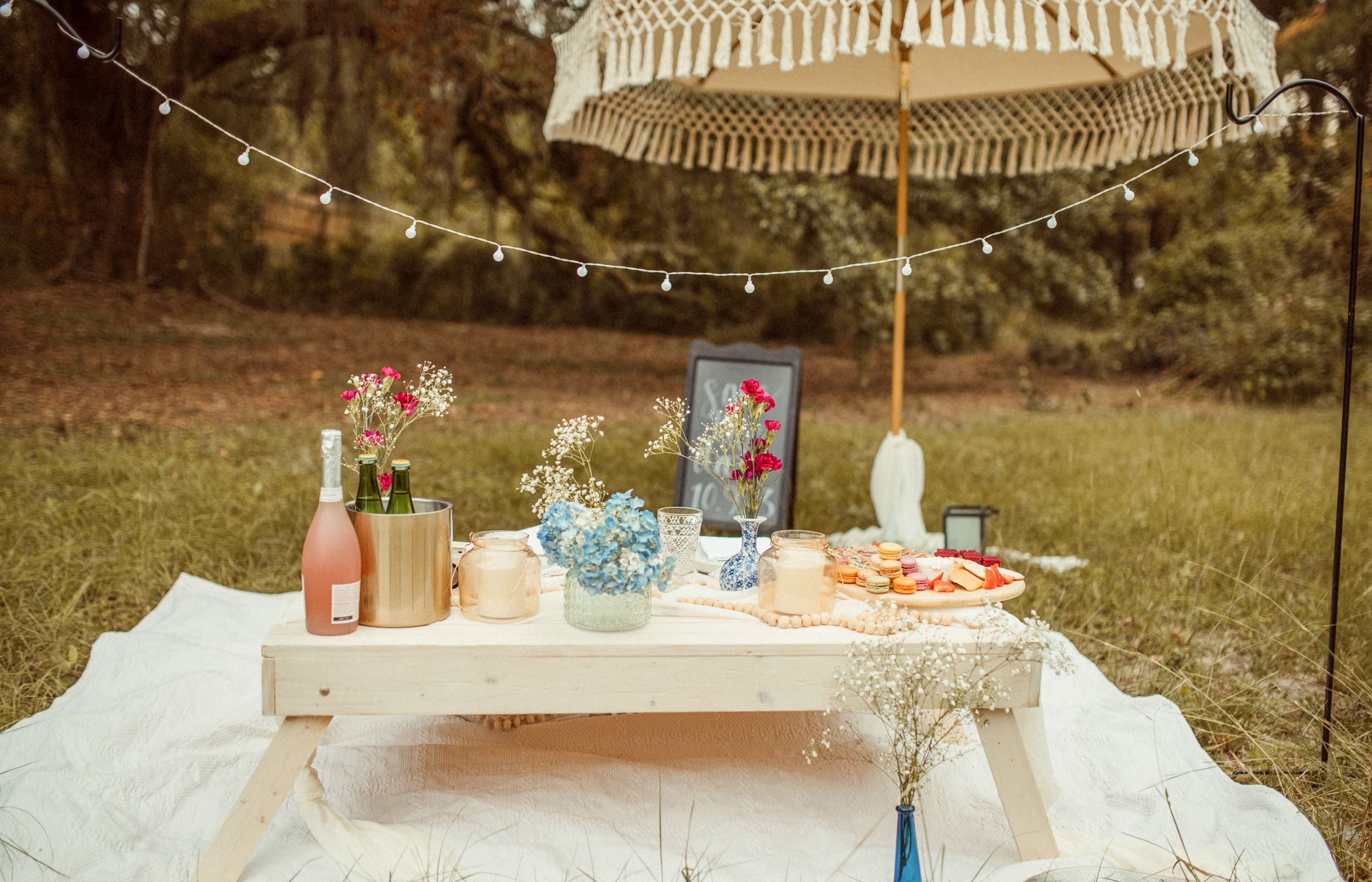 Styled picnic setup in backyard engagement session with linens flowers and string lights in Jacksonville, Florida.