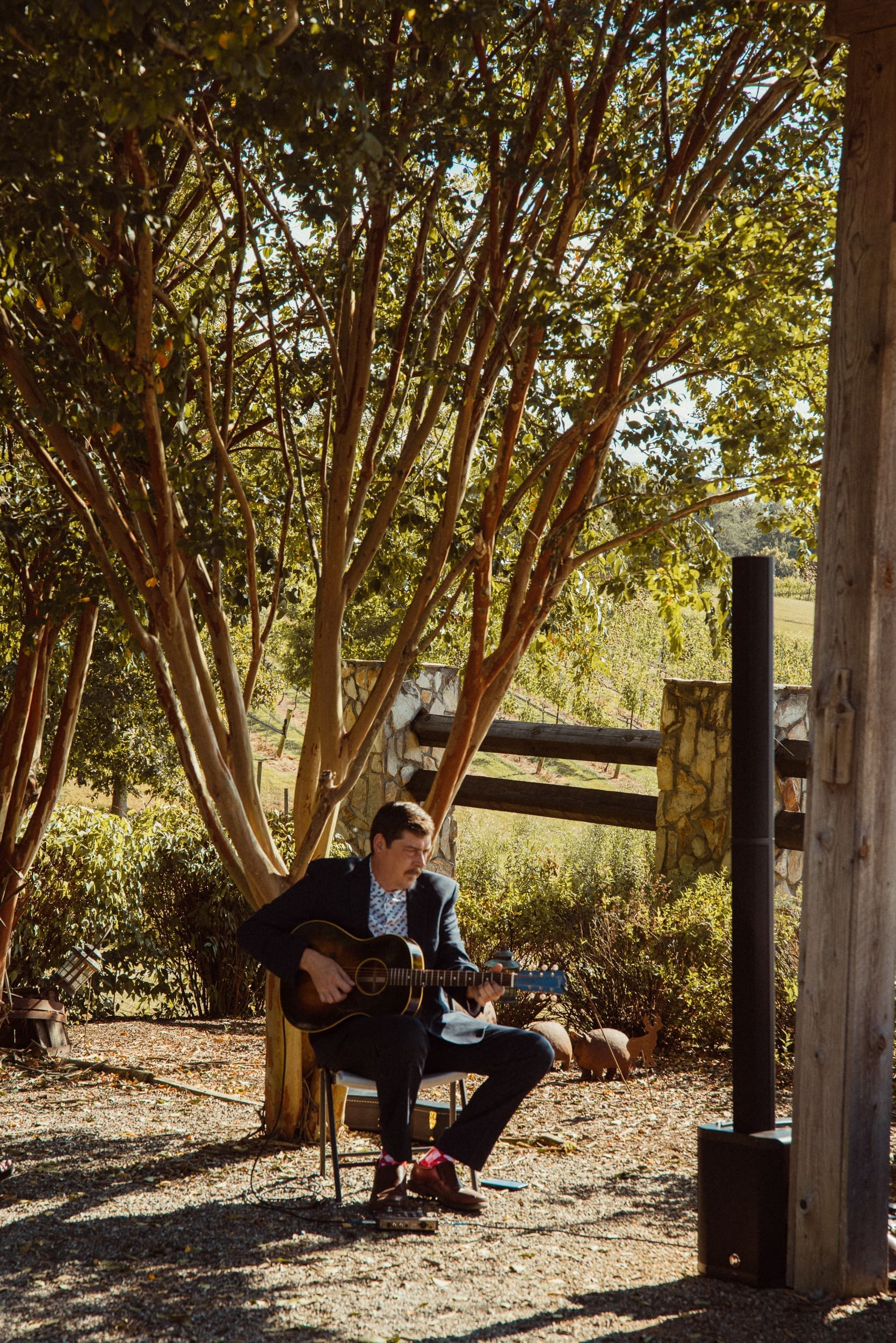 Live musician playing guitar under autumn tree at Parker-Binns vineyard wedding ceremony in North Carolina. 