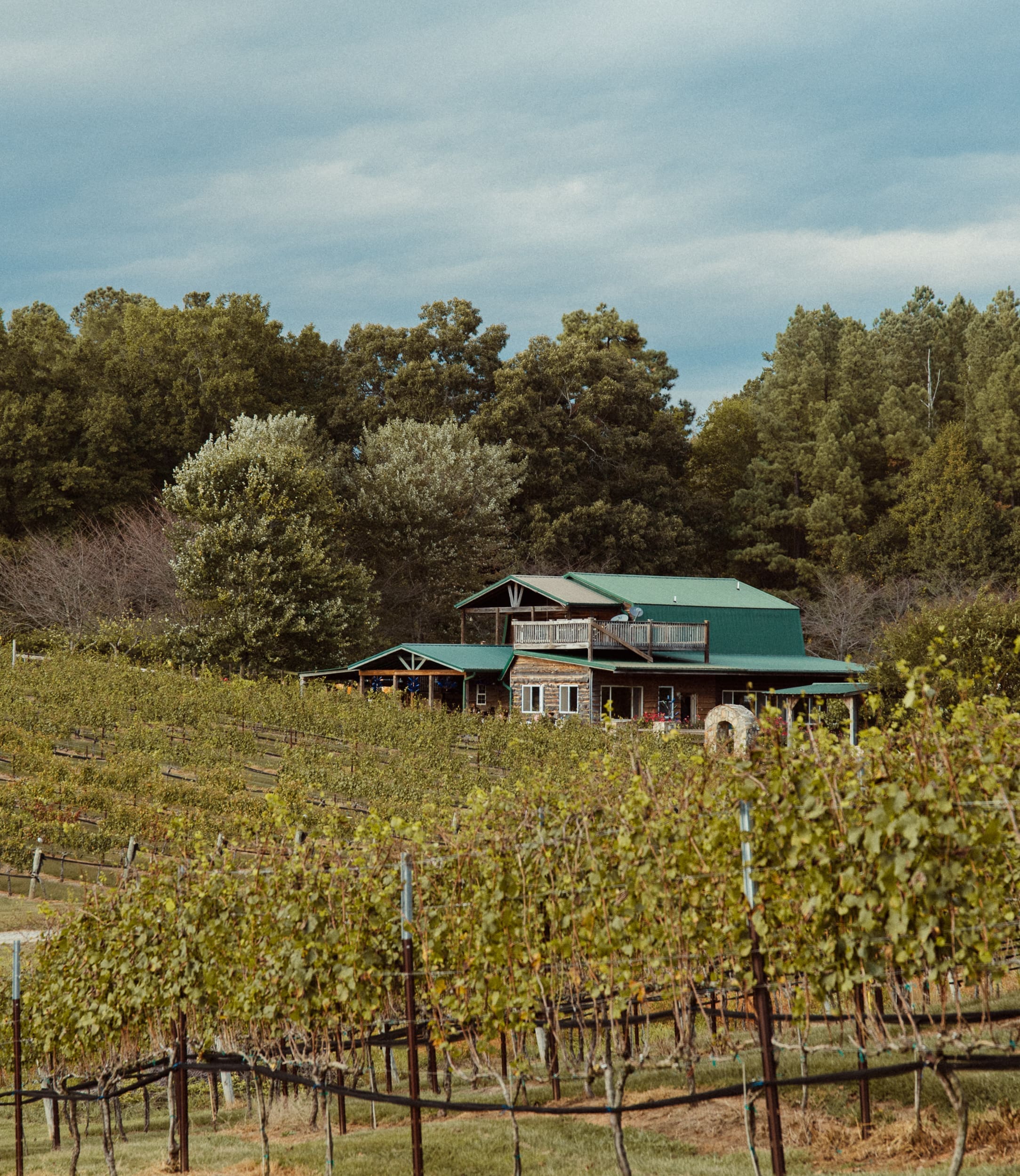 Wide view of Parker-Binns Vineyard wedding venue from vineyard rows with dramatic sky, North Carolina destination wedding. 
