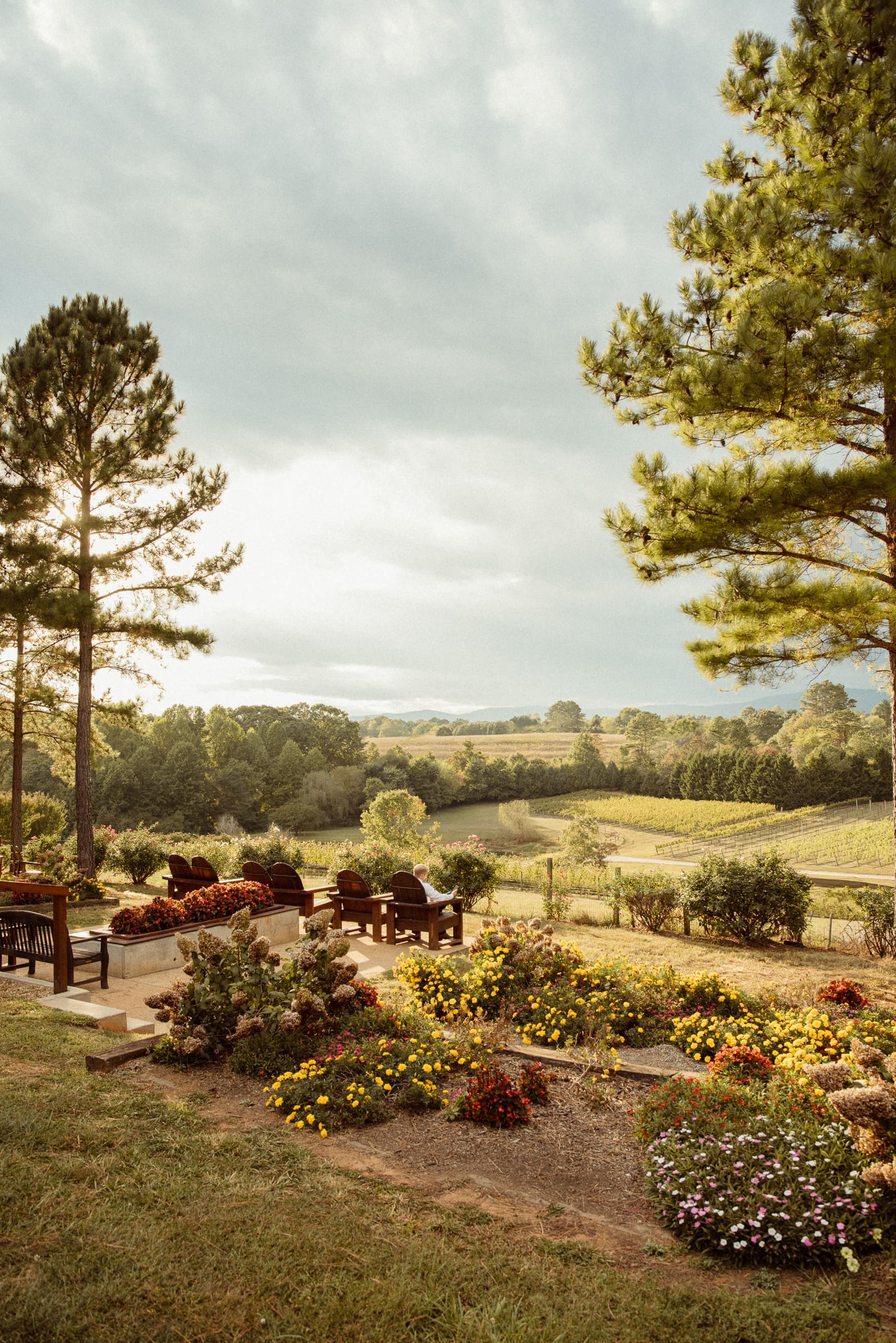 Sweeping view of Parker-Binns Vineyard rolling hills and garden patio with Adirondack chairs, North Carolina destination wedding venue photographed by Brandi Denslow. 