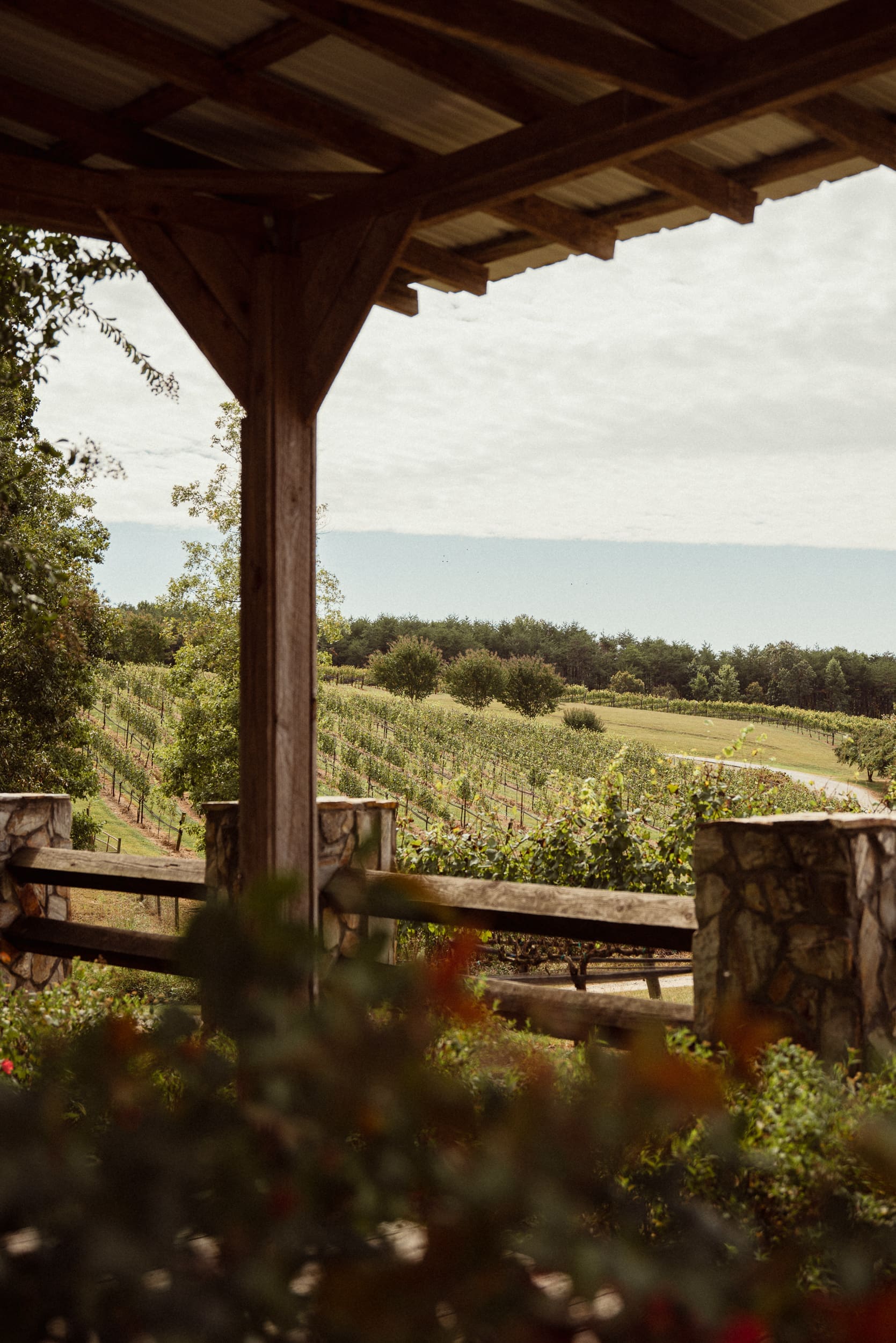 Rolling vineyard hills viewed from the rustic pavilion at Parker-Binns Vineyard North Carolina wedding venue.
