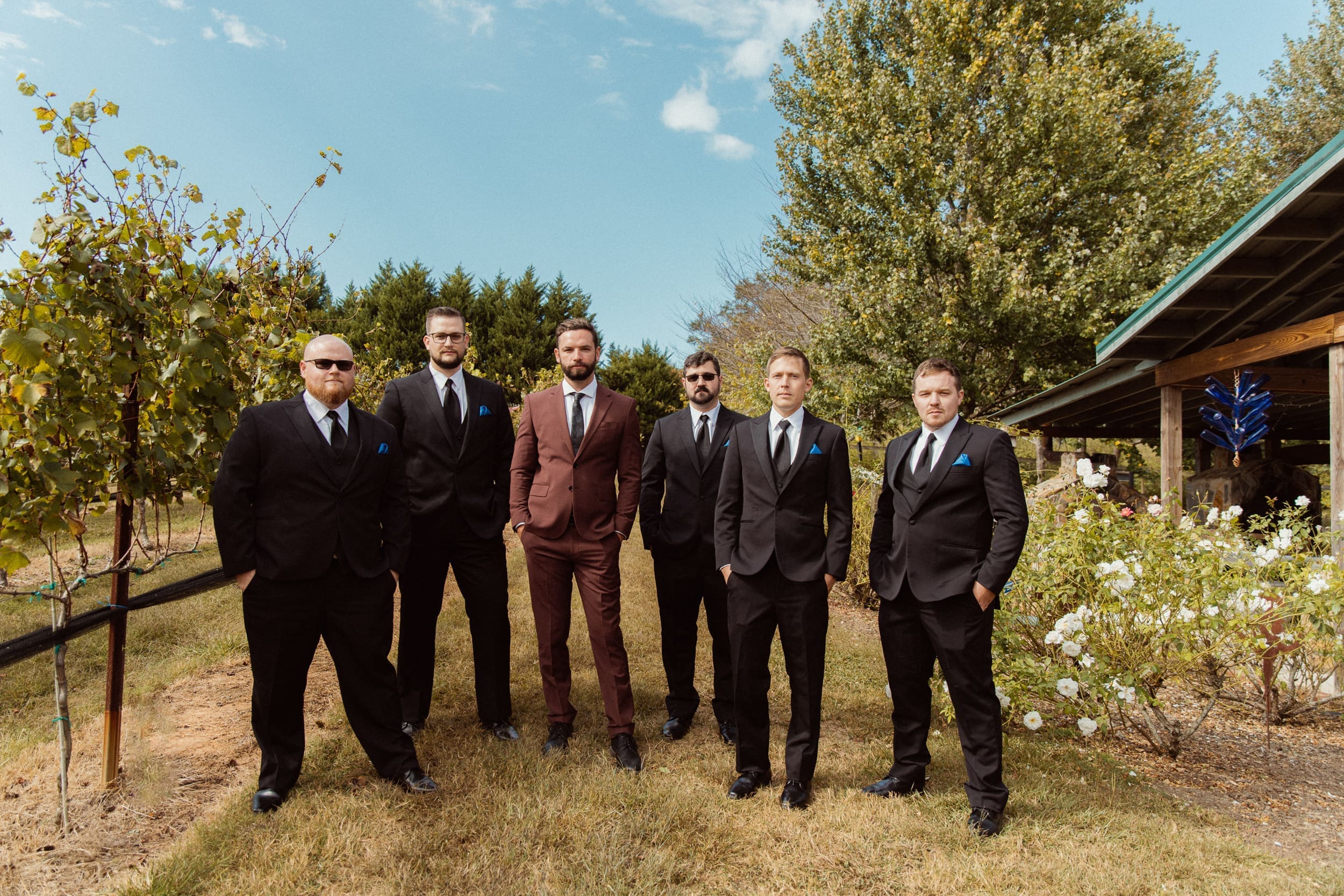 Groom and groomsmen in dark suits standing in vineyard at Parker-Binns North Carolina, destination wedding photographer Brandi Denslow