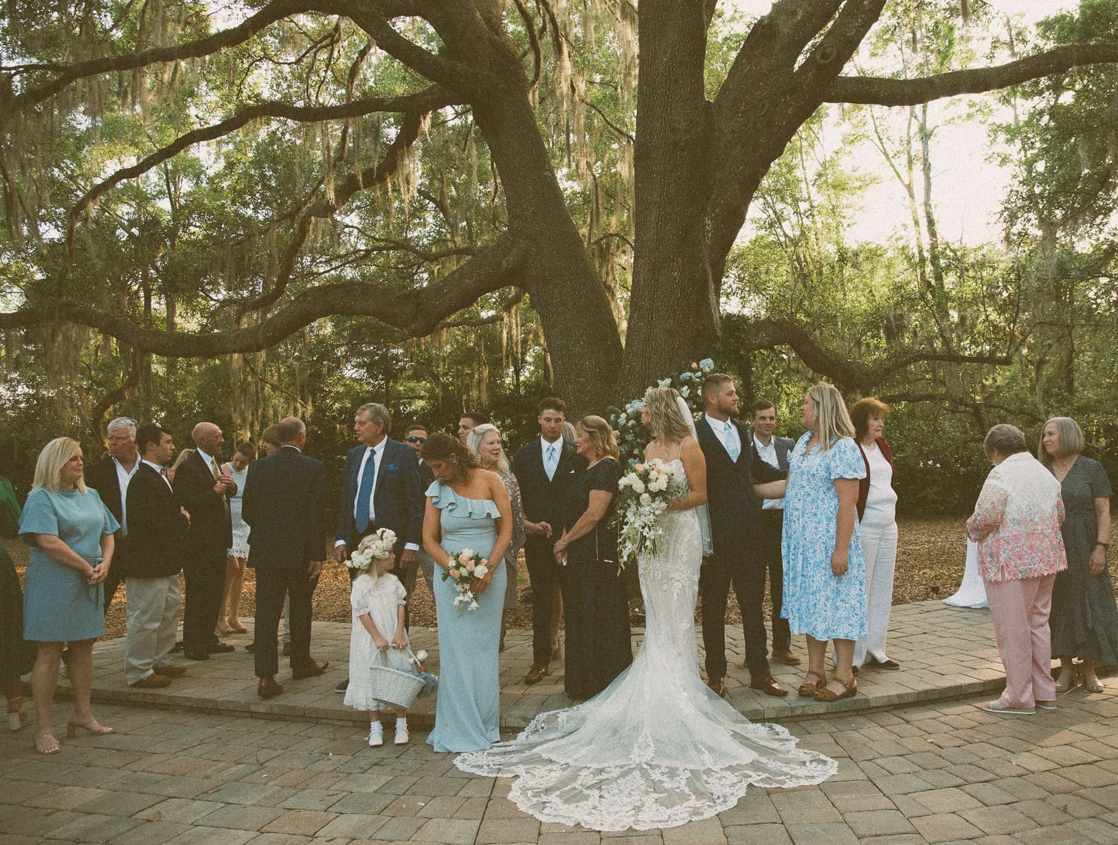 Bride and wedding party gathered beneath the ancient oak tree after ceremony at Bowing Oaks. 