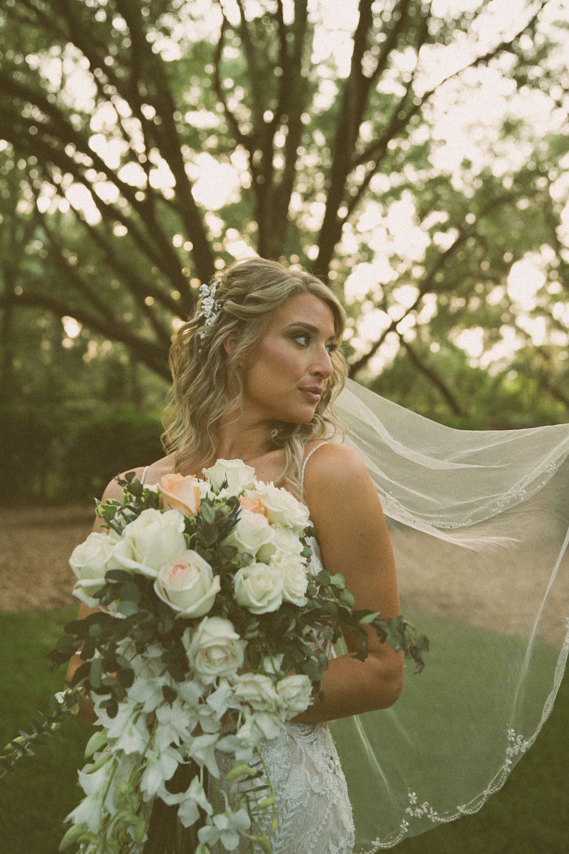 Bride's veil billowing in the breeze during bridal portraits under oak trees at Bowing Oaks Plantation. 